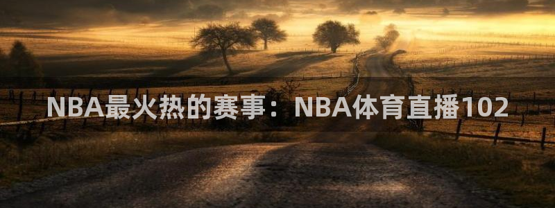 雨燕篮球直播