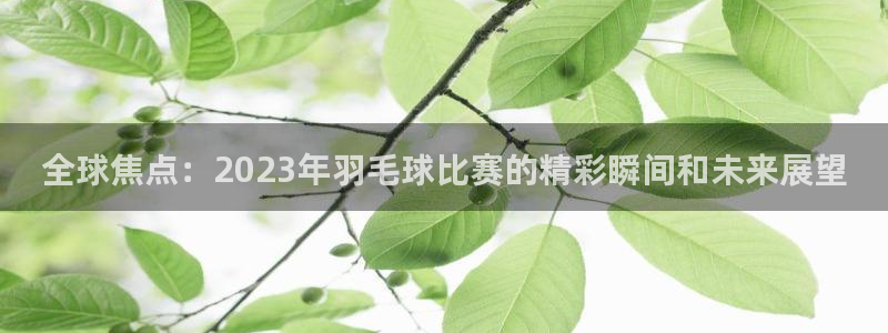 雨燕足球直播体育免费直播