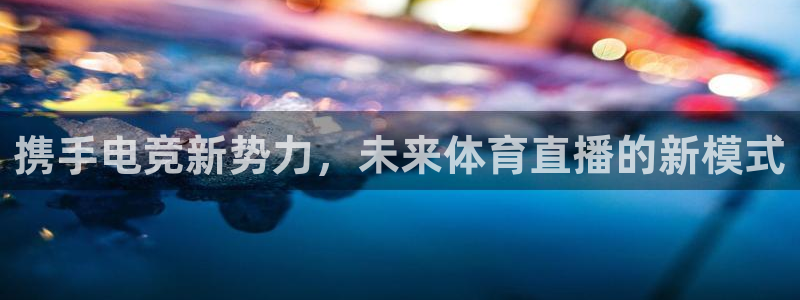 nba直播吧雨燕