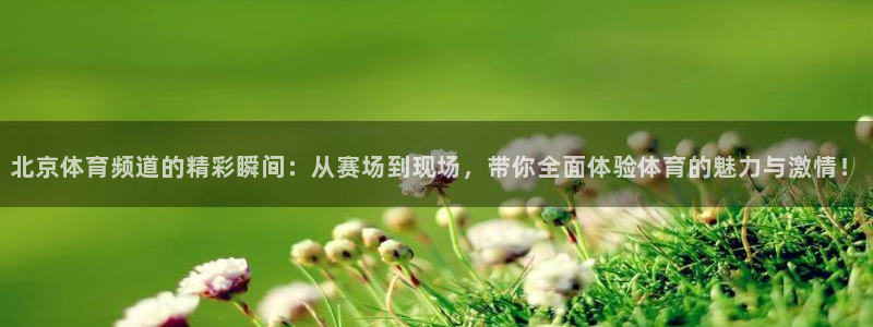 雨燕直播体育免费直播yyzb
