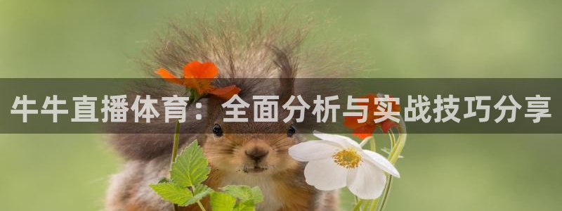 雨燕体育857直播：牛牛直播体育：全面分析与实战技巧分享