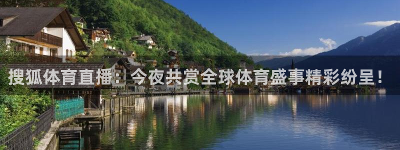雨燕体育直播高清nba 免费：搜狐体育直播：今夜共赏全球体育盛事精彩纷呈！
