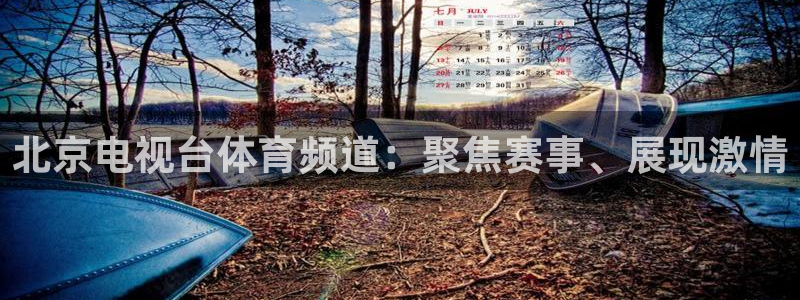 nba在线观看直播免费雨燕：北京电视台体育频道：聚焦赛事、展现激情
