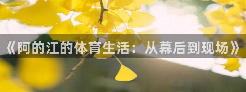 看球宝雨燕直播nba：《阿的江的体育生活：从幕后到现场》