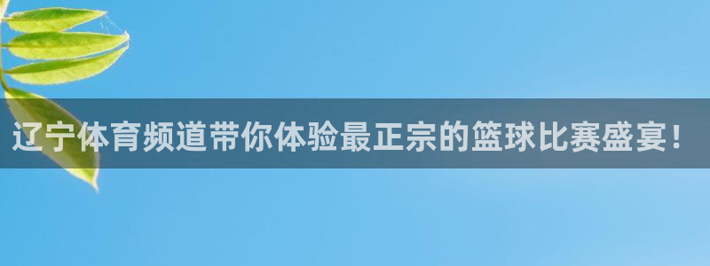雨燕体育直播app：辽宁体育频道带你体验最正宗的篮球比赛盛宴！